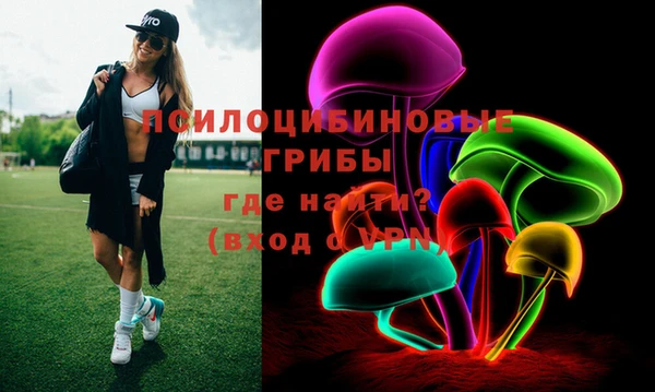 PSILOCYBIN Абинск