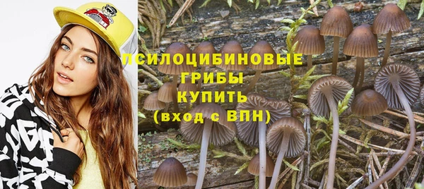 бошки Абаза