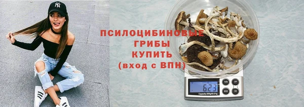 PSILOCYBIN Абинск