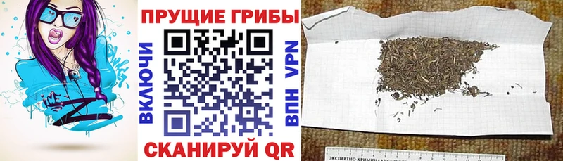 даркнет сайт Агидель Псилоцибиновые грибы GOLDEN TEACHER