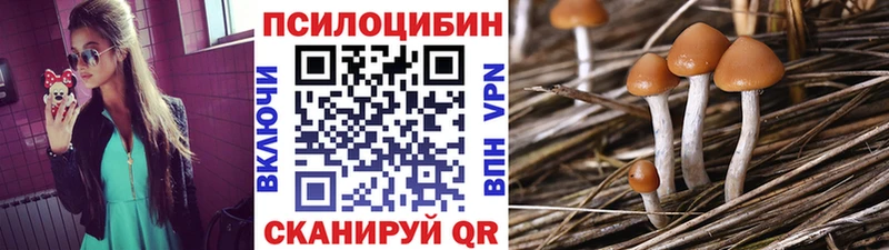Псилоцибиновые грибы Cubensis Агидель